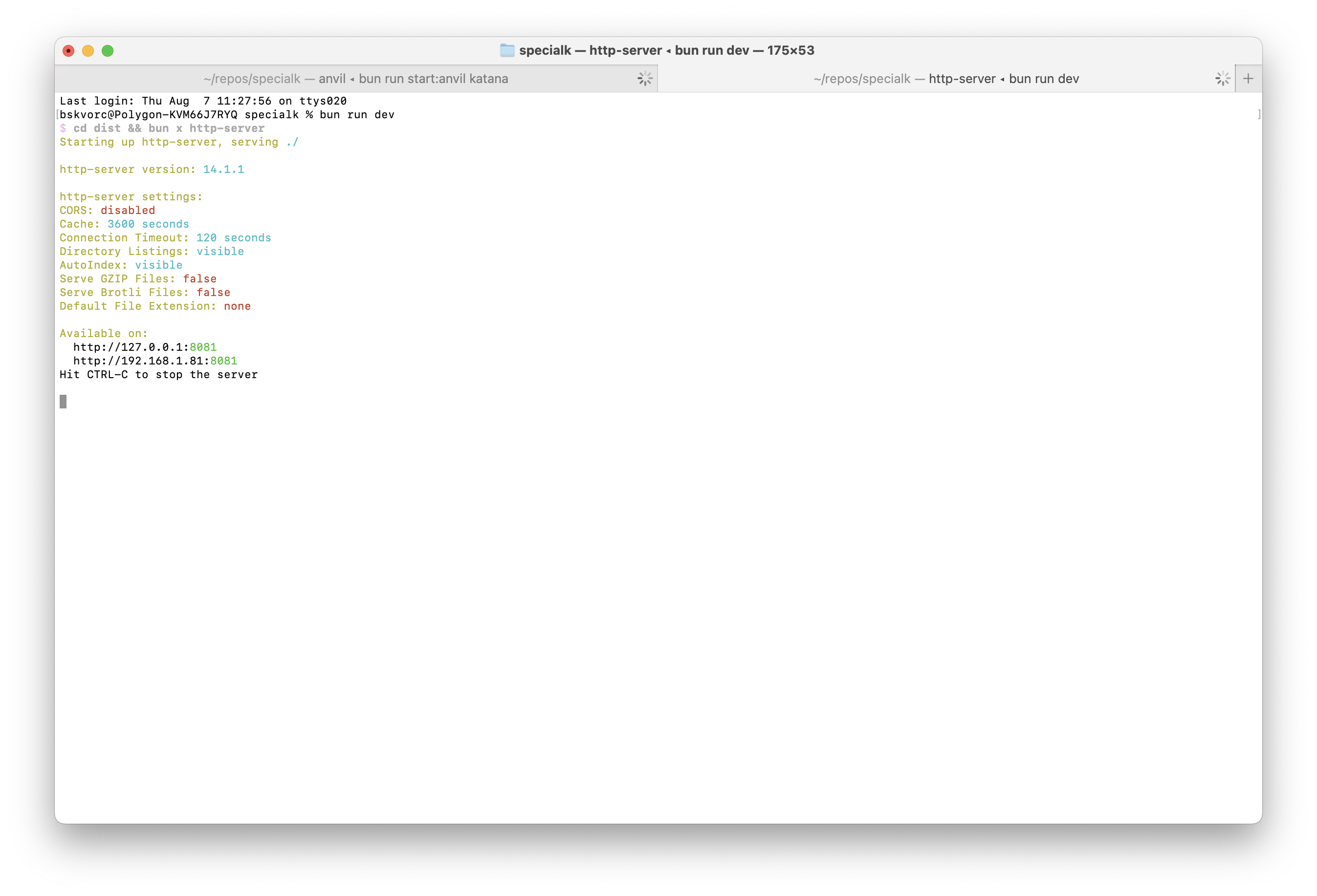 Demo app running in terminal